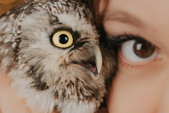 Казино ОлСтар Слотс Поддръжка